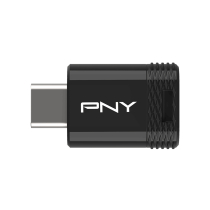 PNY Memoria USB-C 3.2 Elite-X 256 GB