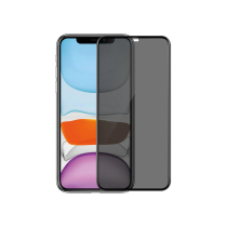 Cristal Templado Pixel 10 Pro (Privacy)